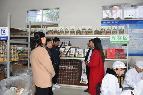 文縣電商中心負(fù)責(zé)人深入一線，檢查指導(dǎo)電商協(xié)會及企業(yè)運(yùn)營，力促農(nóng)副產(chǎn)品銷售再上新臺階