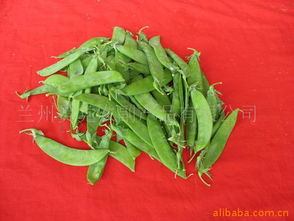 蘭州貫黨農(nóng)副產(chǎn)品 連接田間與餐桌的匠心橋梁