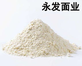 河北谷朊粉廠家創新工藝 新茂農副食品引領谷朊粉發酵法應用與農副產品銷售新篇章