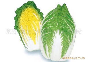 萊蕪市萊城區潤宇農副產品購銷站 連接田間與餐桌的綠色橋梁