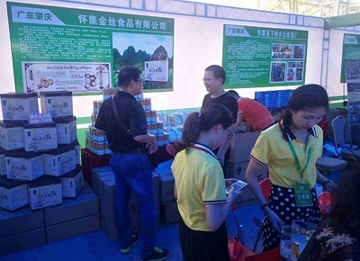 肇慶舉辦綠色農(nóng)副產(chǎn)品集散基地投資環(huán)境推介會，助力農(nóng)副產(chǎn)品銷售新篇章