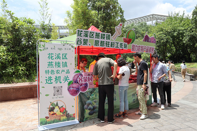 花溪區(qū)燕樓鎮(zhèn)谷蒙村 駐村工作隊(duì)變身“推銷員”，打通農(nóng)產(chǎn)品銷售最后一公里